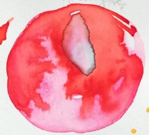 humedo sobre humedo - aprendiendo a pintar con acuarelas - carla bonfigli
