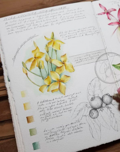 derechos reservados a su autora artofnorka