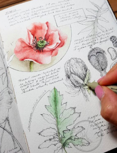 derechos reservados a su autora artofnorka