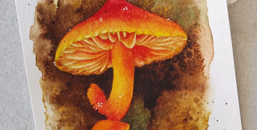 hongo naranja acuarela - carla bonfigli - escuela arte botanico