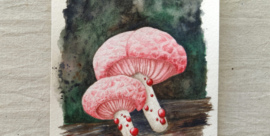 curso hongo rosado acuarela - escuela online arte botanico - carla bonfigli