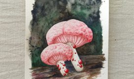 curso hongo rosado acuarela - escuela online arte botanico - carla bonfigli