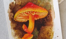 hongo naranja acuarela - carla bonfigli - escuela arte botanico