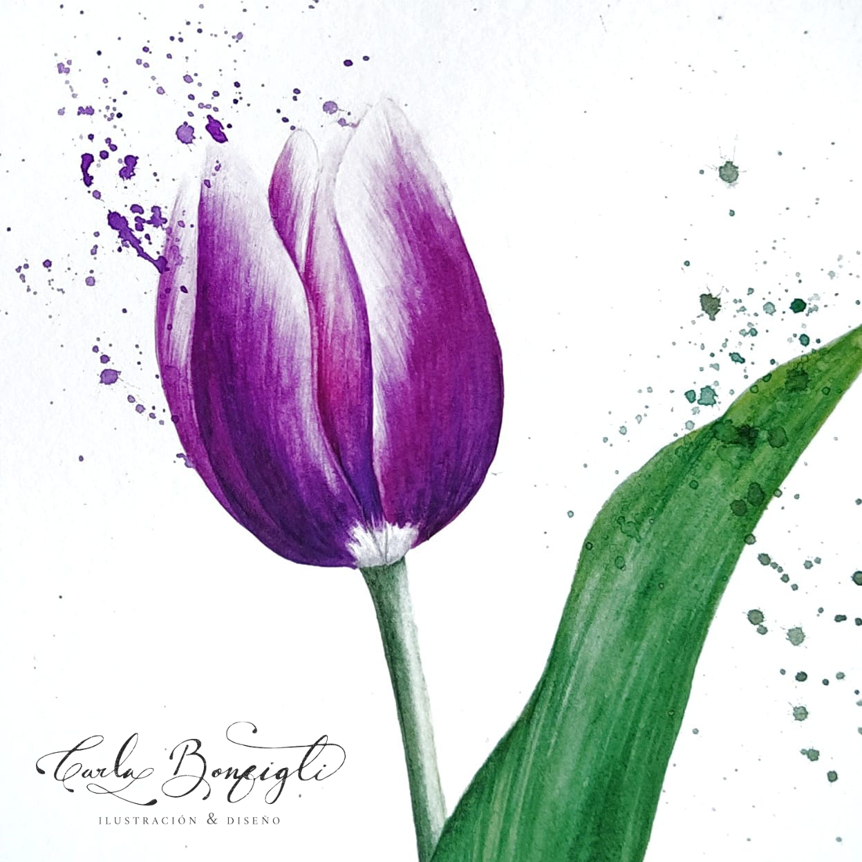 tulipan acuarela - carla bonfigli - escuela arte botanico